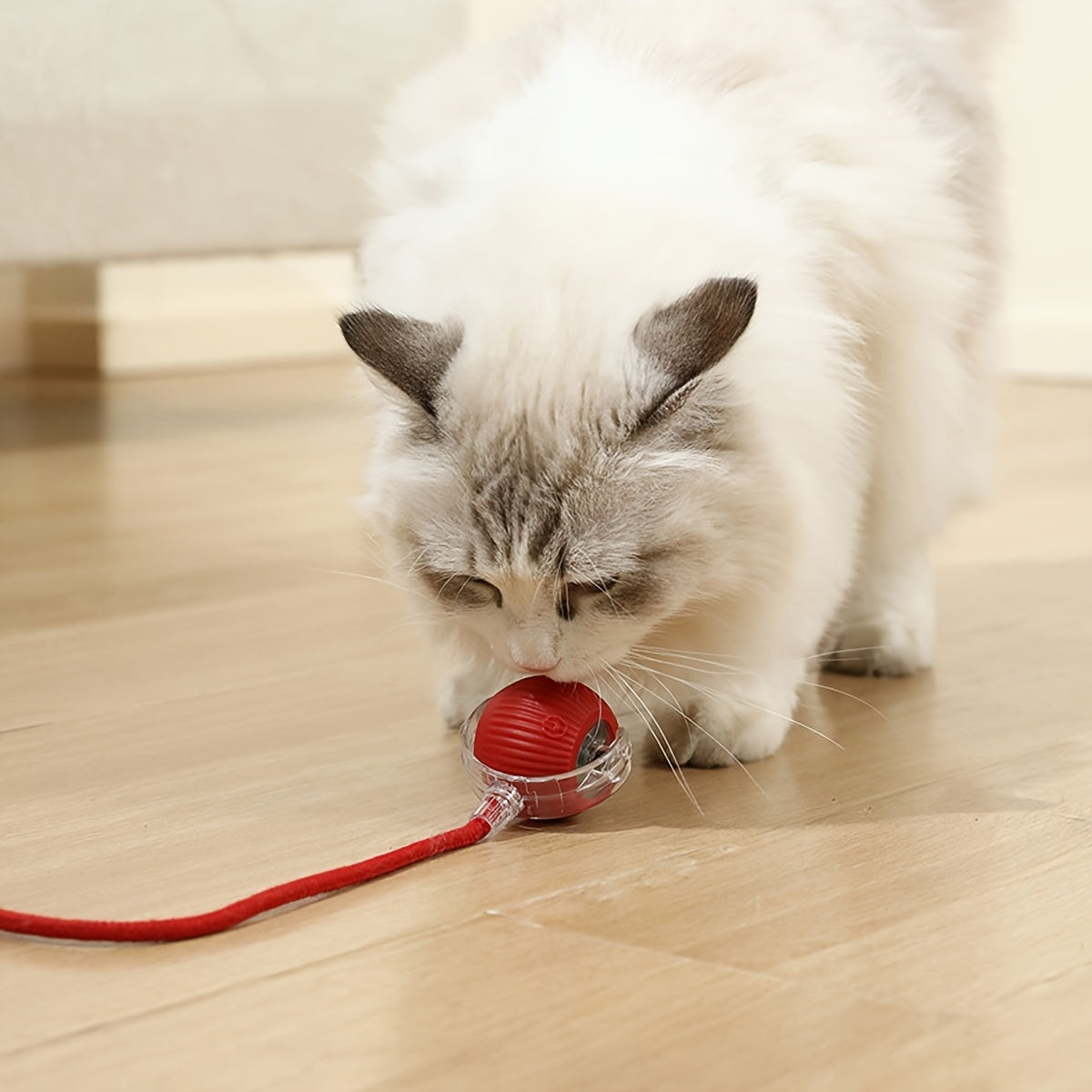 Interactive Cat Toy with Red LED Light, Motion-Activated Rolling Ball for Indoor Cats, USB Rechargeable, Suitable for All Breeds, Stripe Pattern, Plastic - Ideal for Carpet Use, Cat Toys for Indoor Cats, Automatic, Ball